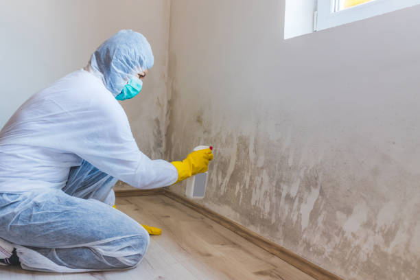 Licensed Mold Testing service in East Rutherford, NJ - WQB Mold Removal