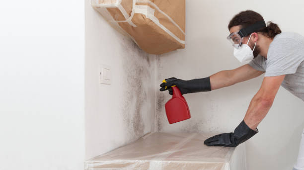 Professional Mold Testing technician working in East Rutherford, NJ