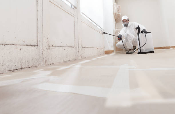 24/7 Emergency Mold Testing experts in East Rutherford, NJ