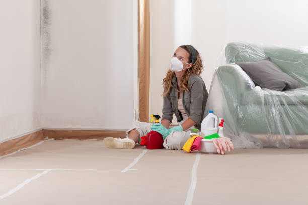 Reliable Mold Testing contractor in East Rutherford, NJ by WQB Mold Removal